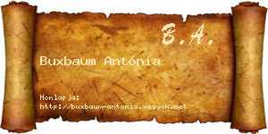 Buxbaum Antónia névjegykártya